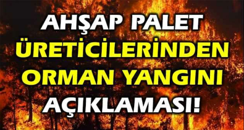 Ahşap palet üreticilerinden orman yangını açıklaması