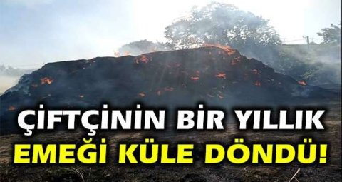 Çiftçinin bir yıllık emeği küle döndü