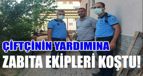 Koyunları kaybolan çiftçinin yardımına Gemlik zabıtası koştu
