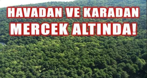 Bursa ormanları havadan ve karadan mercek altında