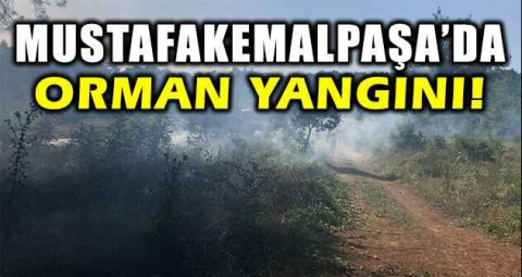 Mustafakemalpaşa’da orman yangını
