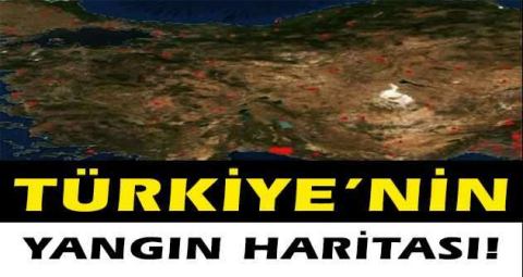 Türkiye'deki orman yangınlarını NASA böyle görüntüledi