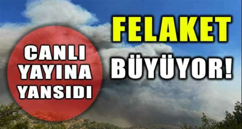 Yangın devam ediyor, acı haber geldi 