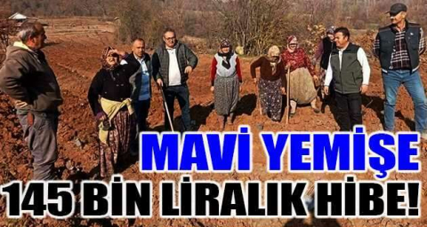 Mavi yemişe 145 bin liralık hibe