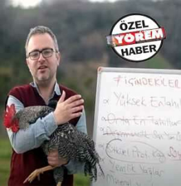'Ucuz ve doğal yumurta üretilebilir'