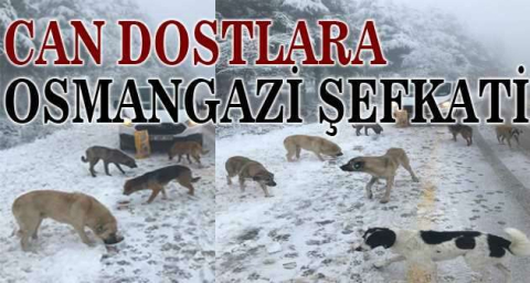 Uludağ’daki can dostlara Osmangazi şefkati