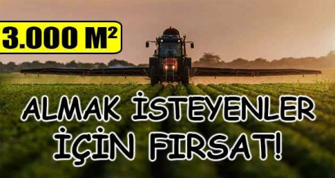 Balıkesir Altıeylül Nergiz Mahallesi'nde 3.000 m² tarla mahkemeden satılıktır (çoklu satış)