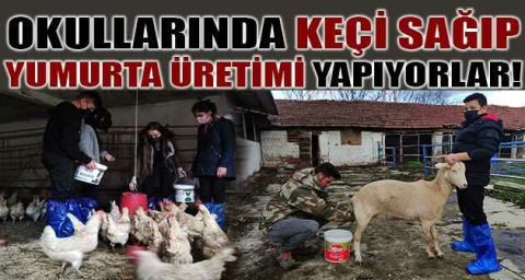 Okullarında keçi sağıp yumurta üretimi yapıyorlar