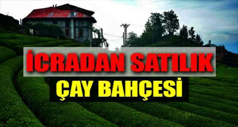 Artvin'de çay bahçesi icradan satılıktır