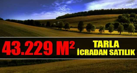 Erzurum Aziziye Altıkonak mahallesinde 43.229 m² tarla icradan satılıktır (çoklu satış)