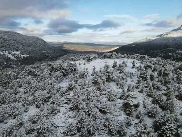 Yeşille beyazın birleşmesi kendine hayran bıraktırdı