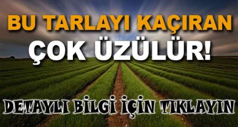 Amasya Göynücek'te 18.424 m² tarlanın 3/56 hissesi icradan satılıktır (çoklu satış)