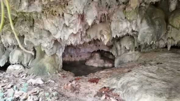 Bitki örtüsünün ardında gizli! Hayvanlarını otlatırken tesadüfen buldular