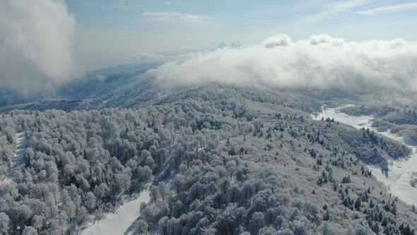 Kartepe'de mart ayında beyaz güzellik