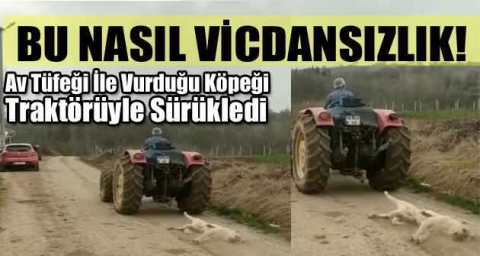 Bursa’da av tüfeği ile vurduğu köpeği traktörüyle sürükledi