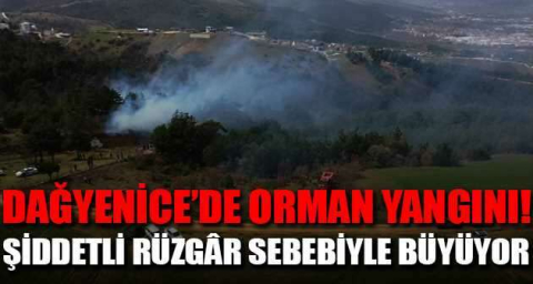 Dağyenice’de orman yangını