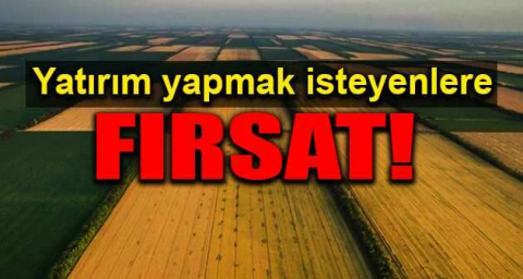 Manisa Akhisar'da 11.450 m² tarla mahkemeden satılıktır