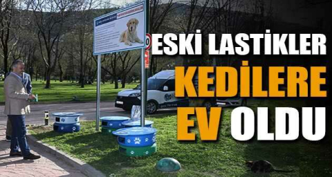 Eski lastikler kedilere ev oldu