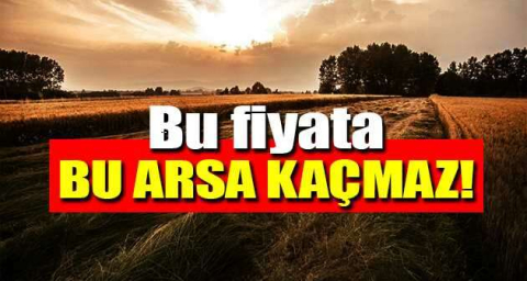 Sakarya Hendek'te 255 m² arsa mahkeme kararı ile satılacak (çoklu satış)