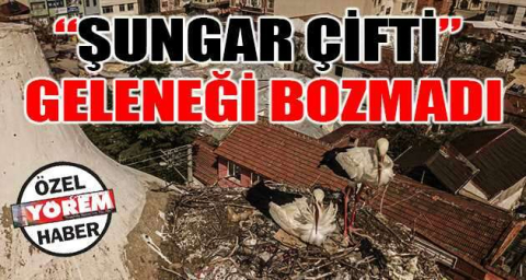 “Şungar çifti” geleneği bozmadı