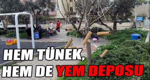 Hem tünek, hem de yem deposu