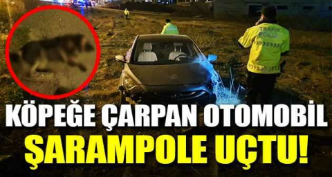 Köpeğe çarpan otomobil şarampole uçtu