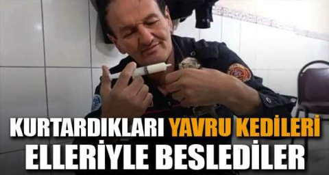 Kurtardıkları yavru kedileri elleriyle beslediler