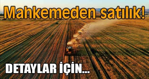 Osmaniye Bahçe'de 12.889 m² tarım arazisi mahkemeden satılıktır (çoklu satış)