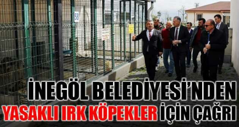 İnegöl Belediyesi’nden yasaklı ırk köpekler için çağrı