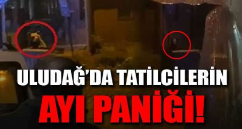 Uludağ'da tatilcilerin ayı paniği
