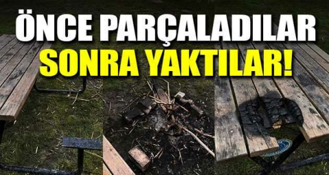 Önce parçaladılar sonra yaktılar