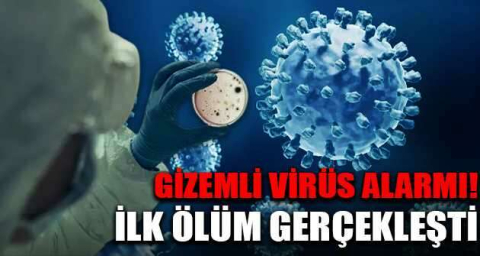 Gizemli virüs alarmı!