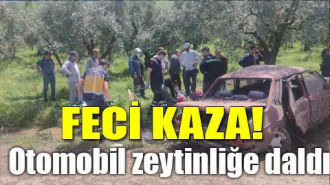 Otomobil zeytinliğe daldı: 2’si çocuk 4 yaralı