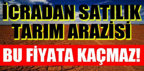 Rize İkizdere ilçesinde 3205 m² tarım arazisi icradan satılıktır (çoklu satış)