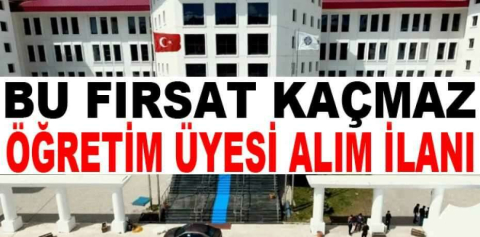 İstanbul Kent Üniversitesi Öğretim Üyesi alım ilanı
