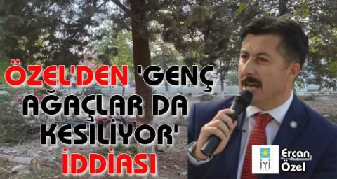 Özel'den 'Genç ağaçlar da  kesiliyor' iddiası