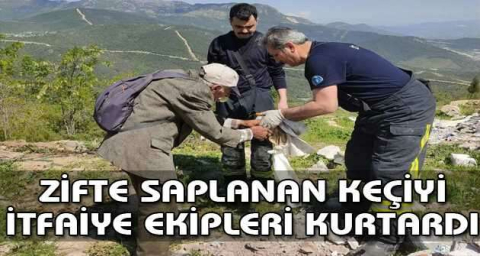 Zifte saplanan keçiyi itfaiye ekipleri kurtardı
