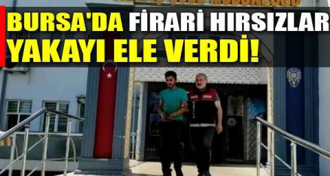 Bursa'da firari hırsızlar yakayı ele verdi
