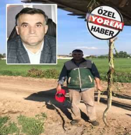  YENİŞEHİR'DE  YILAN PANİĞİ