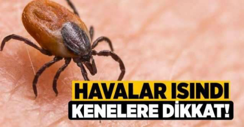 Piknikçilere kene uyarısı