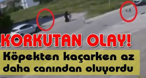 Köpekten kaçarken az daha canından oluyordu