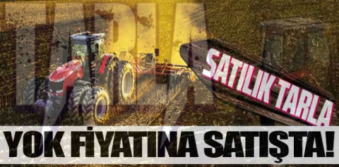 Sinop Erfelek'de 24.738 m² tarla mahkemeden satılıktır(çoklu satış)