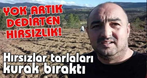 Hırsızlar tarlaları kurak bıraktı