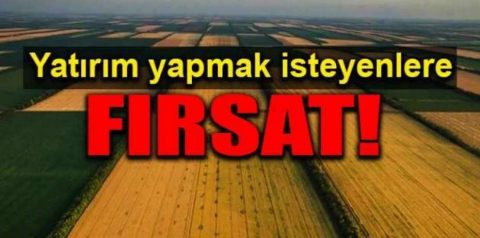 Sivas Kangal'da 21.807,60 m² tarla mahkemeden satılıktır (çoklu satış)