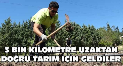 3 bin kilometre uzaktan doğru tarım için geldiler