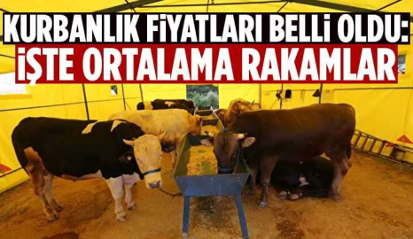 Kurbanlık fiyatları büyükbaşta 30 ile 50 bin TL arasında değişiyor