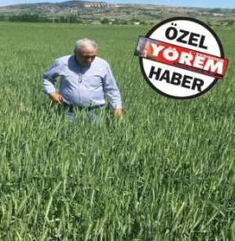 Yenişehir'de yeni ürünler deneniyor