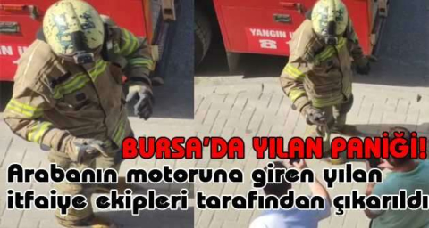 Bursa'da arabanın motoruna giren yılan itfaiye ekipleri tarafından çıkarıldı