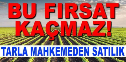 Kocaeli İzmit'te 12321 m² tarla mahkemeden satılıktır