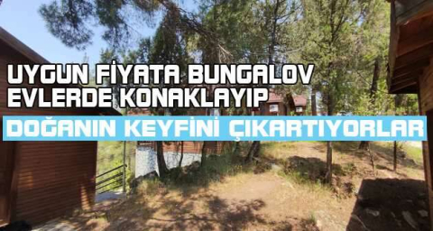 Uygun fiyata bungalov evlerde konaklayıp doğanın keyfini çıkartıyorlar